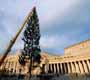 Christmas Tree in St Peter's Square being lifted with a crane